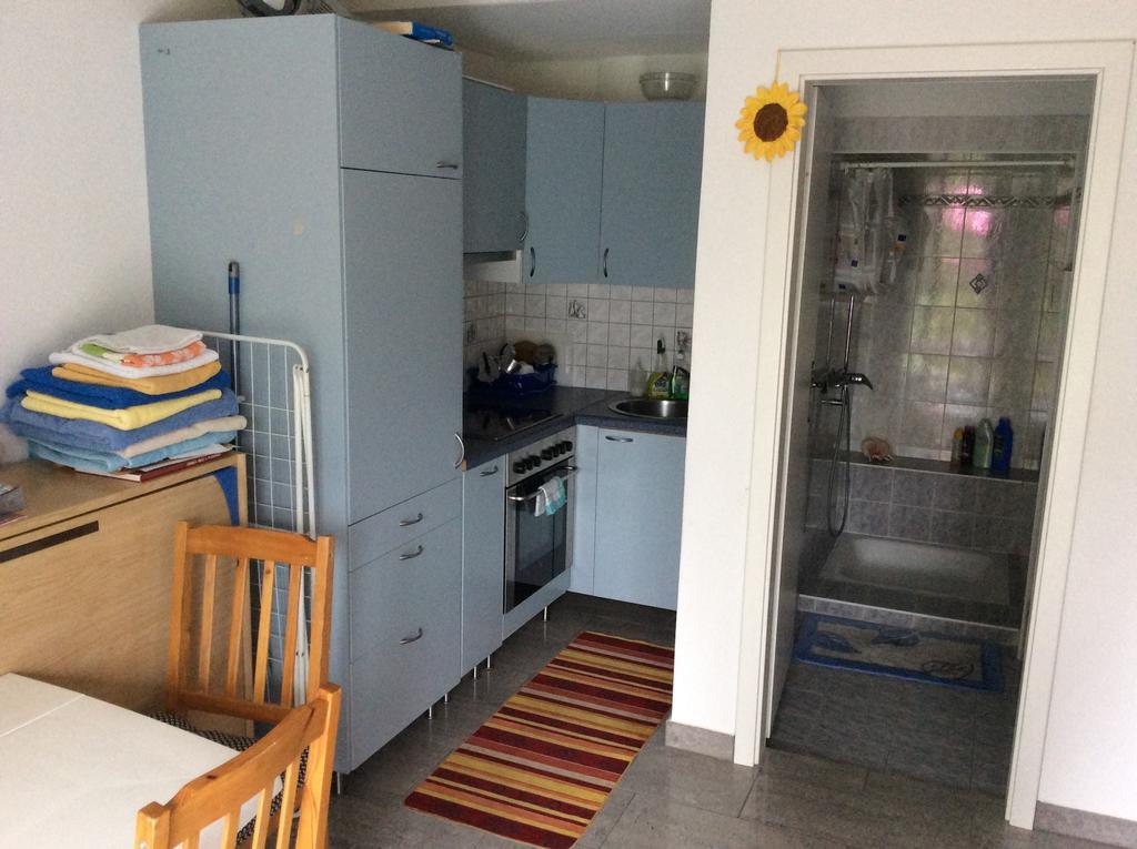 Apartment Alina Sigirino Zewnętrze zdjęcie